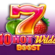 10 Hot Wilds Boost game icon