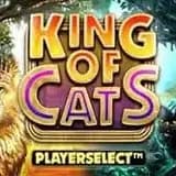 King of Cats