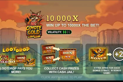 Coyote Gold gameplay image