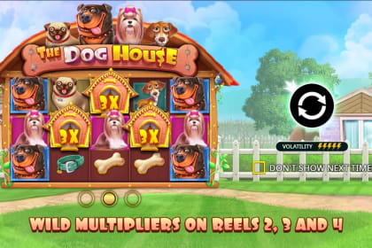 The Dog House gameplay image
