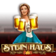 Stein Haus game icon