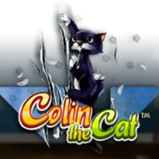 Colin the Cat