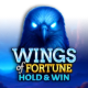 Wings of Fortune: Hold & Wins game icon