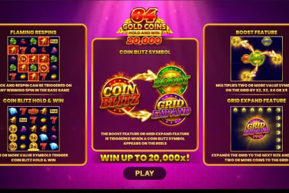 64 Gold Coins Hold and Win 20,000 gameplay image