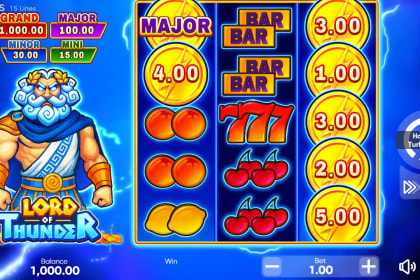 Lord of Thunder gameplay image