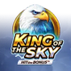 King of the Sky: Hit the Bonus game icon