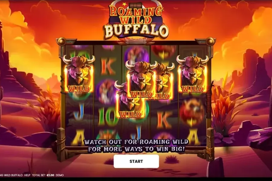 Roaming Wild Buffalo