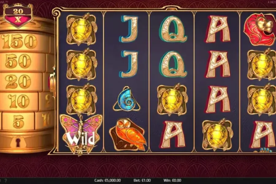 Turn Your Fortune