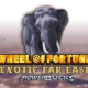 Wheel of Fortune Exotic Far East (Powerbucks) game icon