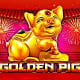 Golden Pig game icon
