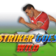 Striker Goes Wild game icon