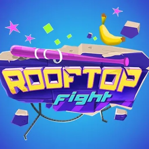 Rooftop Fight