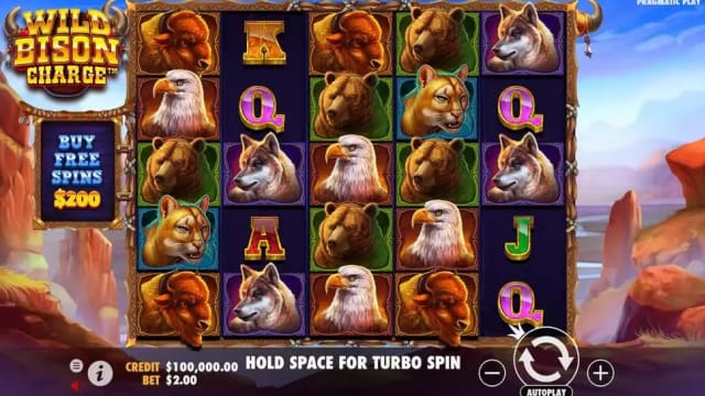 Wild Bison Charge