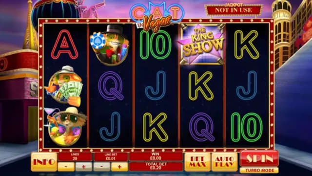 Cat in Vegas