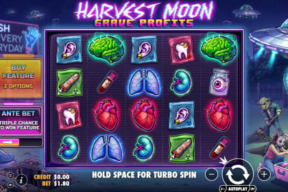 Harvest Moon Grave Profits gameplay image
