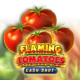 Flaming Tomatoes Cash Shot game icon
