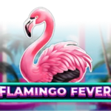 Flamingo Fever