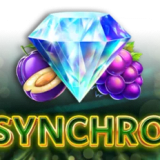 Synchro