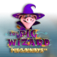 Pig Wizard Megaways game icon