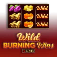 Wild Burning Wins: 5 Lines game icon