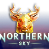 Northern Sky