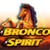 Bronco Spirit