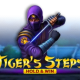 Tiger's Steps Hold And Win game icon