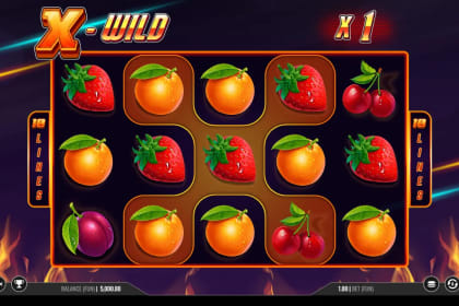 X-Wild gameplay image