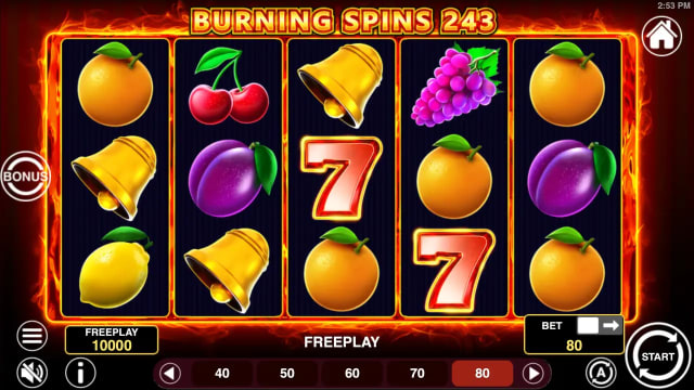 Burning Spins 243