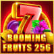 Booming Fruits 256 game icon