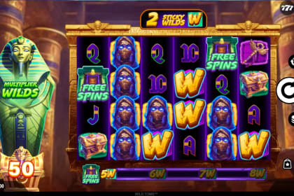 Wild Tomb gameplay image