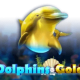 Dolphins Gold game icon