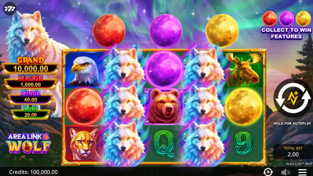 Area Link Wolf