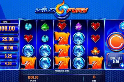 Wild Fury Jackpots gameplay image
