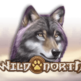 Wild North
