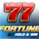 Fortune Hold & Win game icon