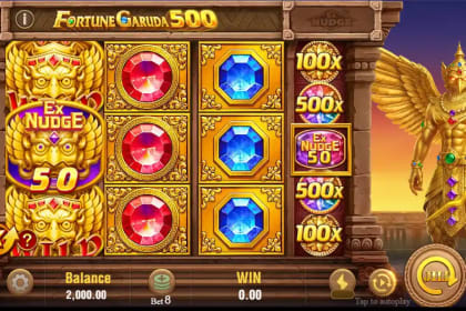 Fortune Garuda 500 gameplay image