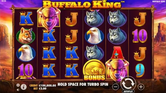 Buffalo King
