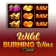 Wild Burning Wins: 5 Lines game icon