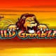 Wild Gambler game icon