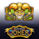 Double Joker game icon