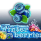 Winter Berries game icon