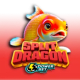 Split Dragon Power Bet game icon