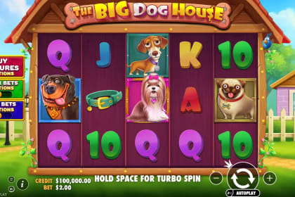 The Big Dog House gameplay image