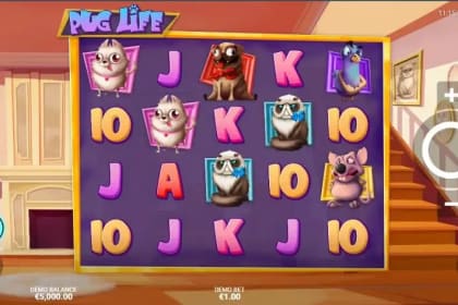 Pug Life gameplay image