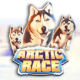 Arctic Race game icon