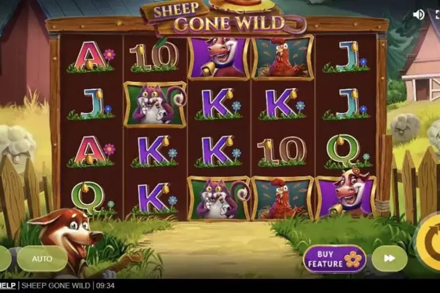 Sheep Gone Wild