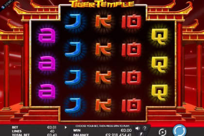 Tiger Temple gameplay image