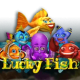 Lucky Fish game icon