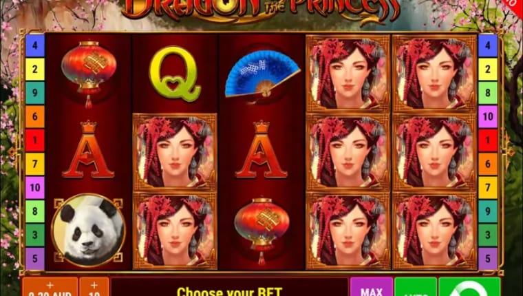 Dragon of the Princess gameplay image